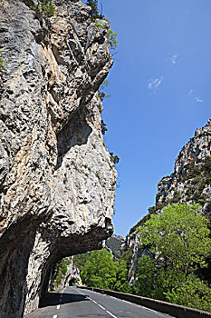 soi cau lo gan