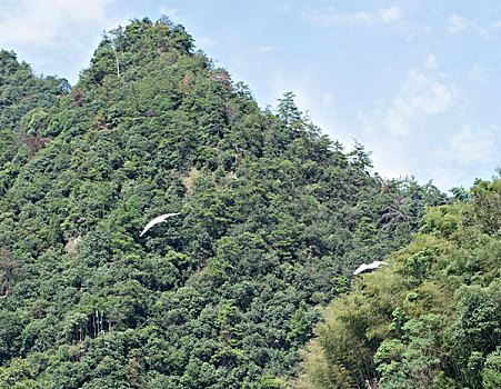 xo so minh ngoc thu 2