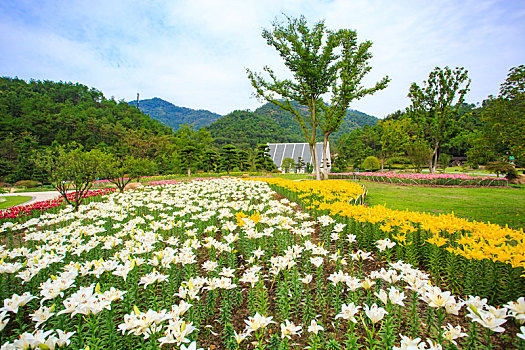 kqxsmb trực tiếp